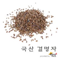 국산 (초)결명자 [600g], 볶은 결명자 [약재파는청년들]