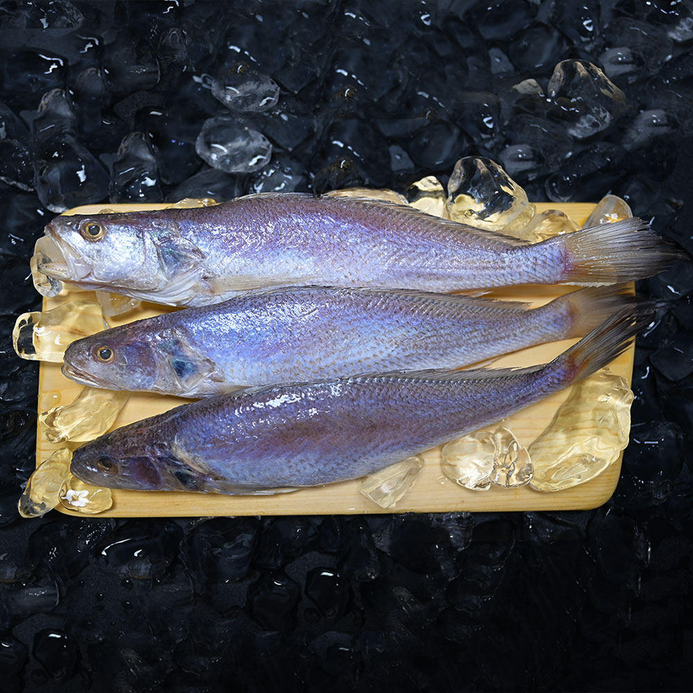 반찬용 반건조 생선 민어조기 반찬용 3마리, 5마리