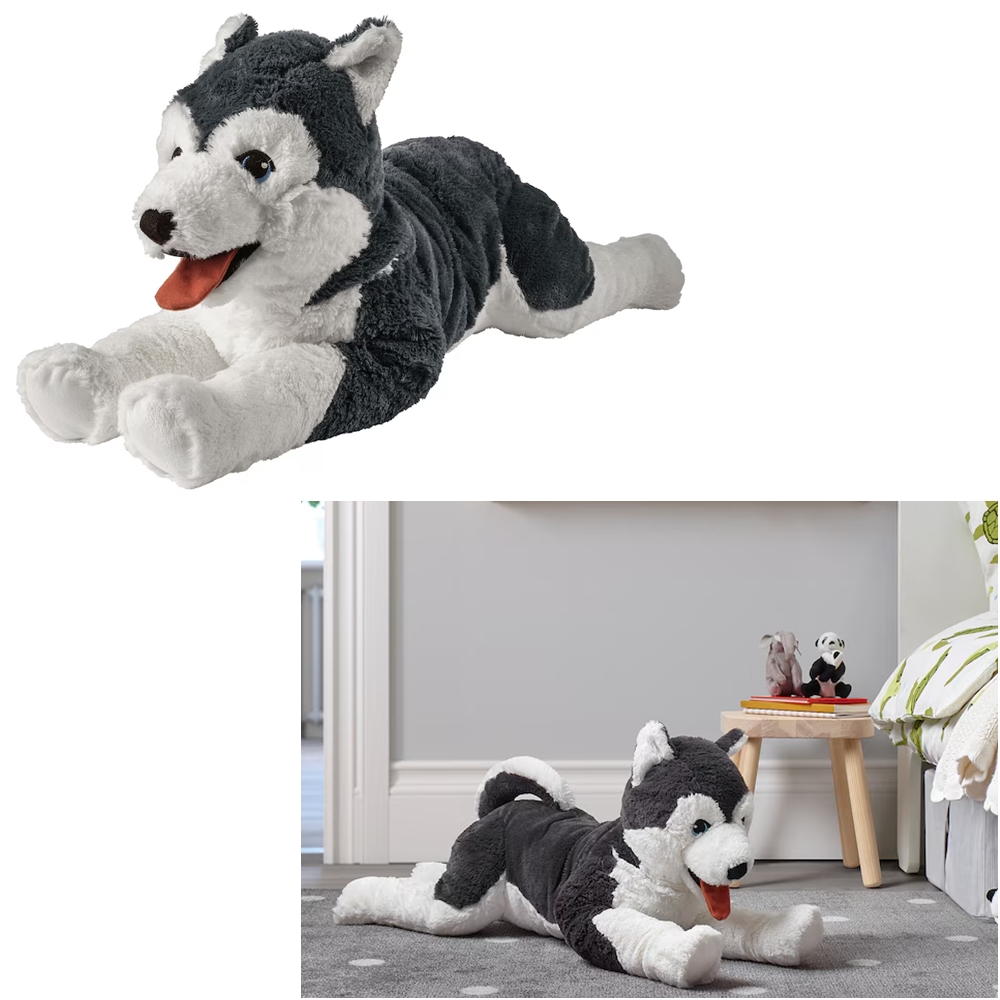 Siberian Husky (시베리안 허스키)