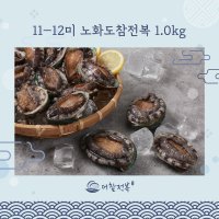 [더참전복] 완도 노화도 11-12미 1kg 홈쇼핑전복 생산자 산지 직송