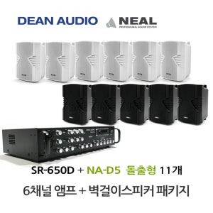매장 카페 음향 SR-650D 앰프 NA-D5 벽걸이 스피커