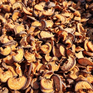 토종돌배 산돌배 생돌배 말린 건돌배 300g