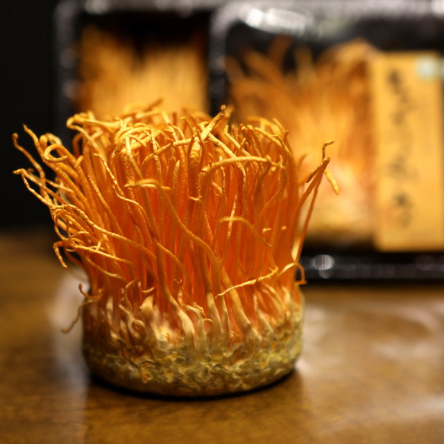 국내산 무농약 <b>동충하초</b> 선물세트 현미 밀리터리스