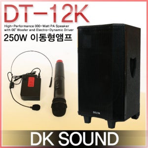 DT-12K /USB/SD Card/캐리어/충전/에코/무선2채널/12인지/250와트