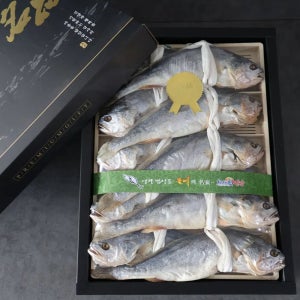 영광법성포 부세 보리굴비 선물포장, 진공포장 10마리 명절 선물세트