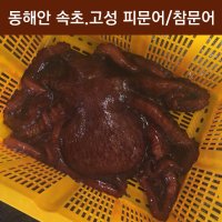 제수용 피문어3Kg 자숙문어숙회 이바지 참문어가격 속초/고성 대왕문어시세