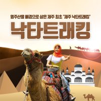 제주 낙타트래킹+먹이주기체험 / 제주도 액티비티 이색체험