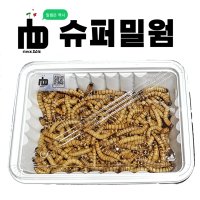 살아있는 nb 슈퍼밀웜 25+25 서비스밀기울원함 개구리 도마뱀 사마귀 먹이