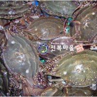 생꽃게 숫꽃게(중대) 1kg 활꽃게 꽃게장 꽃게해물탕 서해안꽃게