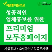 모두홈페이지제작 /프리미엄 모두홈페이지/ 기업홍보 모두홈페이지 / 유지비용없음 / 모두홈페이지.com