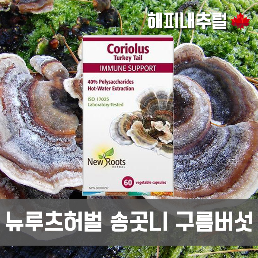 [뉴루츠허벌] <b>송곳니 구름버섯</b> 60캡슐 [new roots] Coriolus 60 Vege Capsules