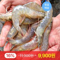 2023 첫 출하 신안 흰다리새우 500g, 1kg , 2kg (대하X) 새우구이 왕새우