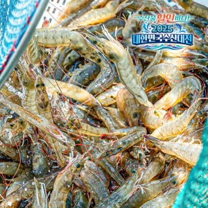 국내산 양식 흰다리새우 1kg 왕새우 새우구이 (대하 X)