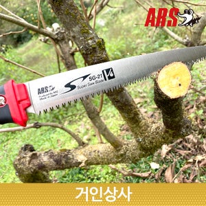 일제 아루스 과수 전지톱 SG-21 / 전정톱 가지치기 원예 조경 정원 날교체식