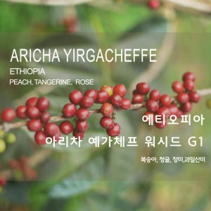 라이프빈 에티오피아 아리차 워시드 예가체프 G1 500g 원두커피