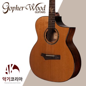 고퍼우드 i320 RCE 탑솔리드 통기타
