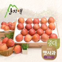 [2023햇사과] 산지애 알뜰 못난이사과(중과) 4.5kg 2box