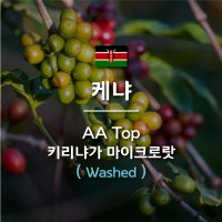 [커피생두] 2023 뉴크랍 케냐 AA Top 키리냐가 1KG