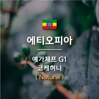 [커피생두] 2023 뉴크랍 에티오피아 예가체프 G1 코케허니 내츄럴 1KG