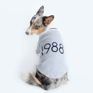 카민프로젝트 1988올림픽 강아지티셔츠 (Blue) S부터 XL 강아지옷