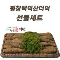 평창백덕산더덕 명절선물세트 왕특 2.5kg