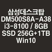 NR 삼성 DM500S8A-A38 + SSD 256GB