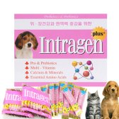 인트라젠플러스 box (30p) 반려동물 종합 영양제
