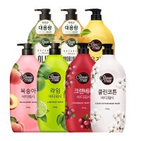 애경 샤워메이트 파머스 바디워시 1200g