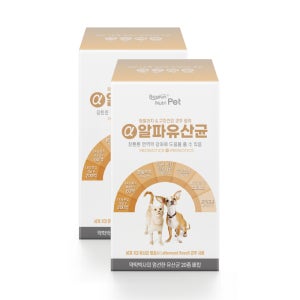 바른뉴트리펫 알파유산균 강아지 고양이 유산균 장 피부 면역력 영양제 30포, 2개