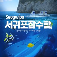 제주 서귀포잠수함 탑승권 / 제주도 여행 이색체험 관광지