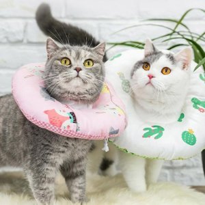 포그니 양면 프린팅 고양이 도넛 넥카라