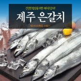 [제주향]제주은갈치150g x 10팩(30토막/10미)