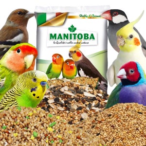 앵무새 먹이 이탈리아산 마니토바 왕관모란1kg 새 사료 모이 밥용품 간식 펠렛