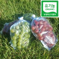 청포도 흑포도 홍포도 영덕 유기농 거봉 포도 2kg 4kg