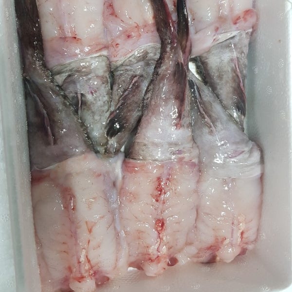 당일조업 생아귀 아귀간 순살아귀 아귀대창 아구 (전우수산)