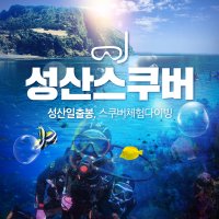 제주 성산스쿠버 / 제주도 스킨스쿠버 다이빙 다이브 / PADI 오픈워터 다이버