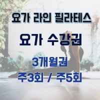 [요가 라인 필라테스] 요가 3개월 수강권 / (주 3회권, 주 5회권)