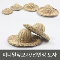 미니 밀짚모자, 밀짚모자, 미니, 선인장모자, 오차각모자