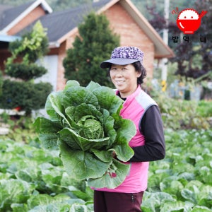 강원도 고랭지 절임배추 20kg 김장 절임배추 청정지역 인제기린농협