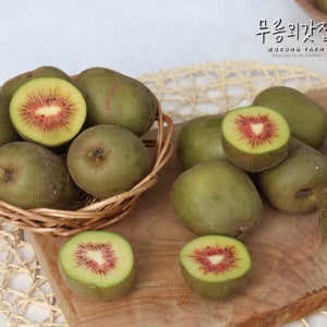 제주도 고당도 레드키위 홍다래 2kg 4kg 산지직송 달콤한 과일맛집