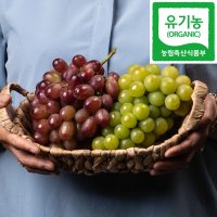 영덕 친환경 유기농 거봉 적포도 청포도 2kg 4kg