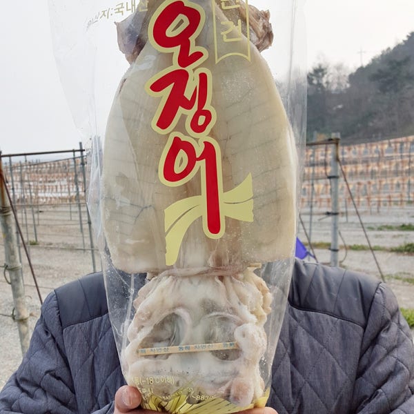 영덕 반건조오징어 피데기10미 파품 파지1kg 몸통 마른오징어 반건 건 오징어 건조 특대