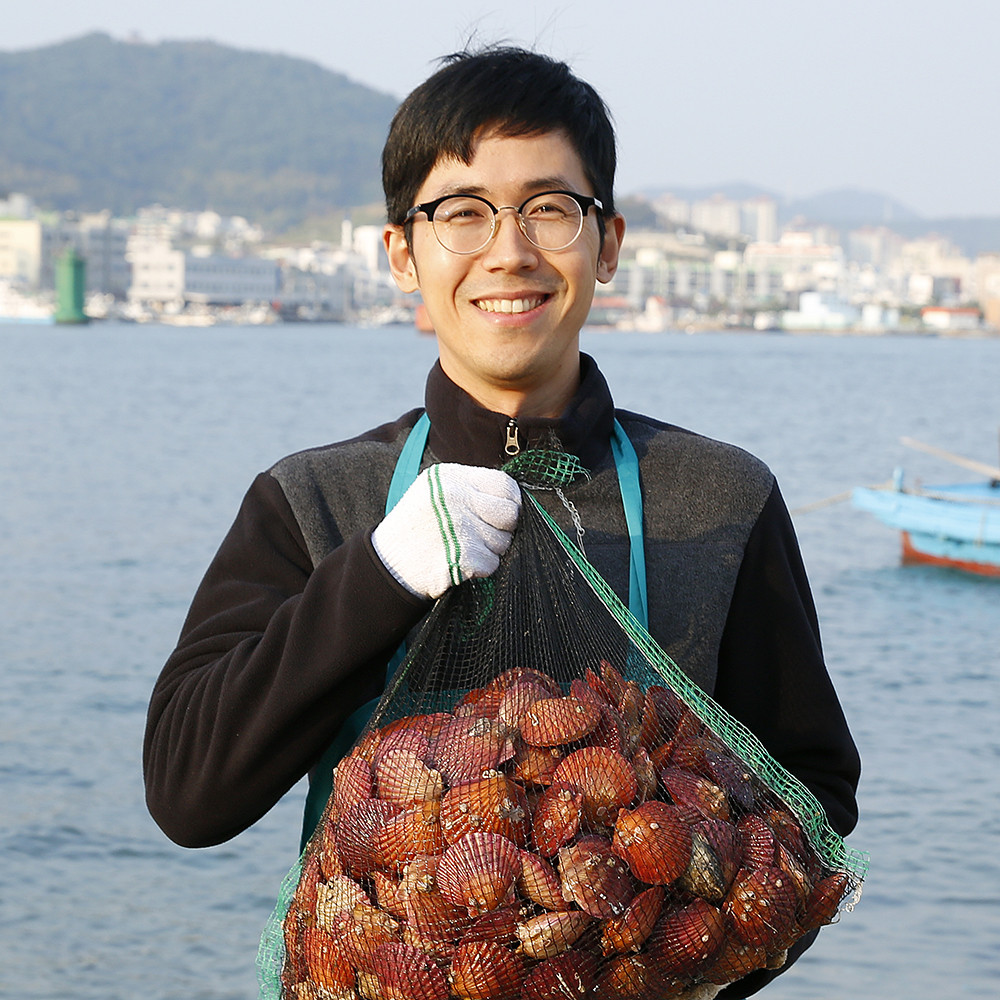 통영 제철 비단 홍가리비 1kg 국내산 세척 조개구이