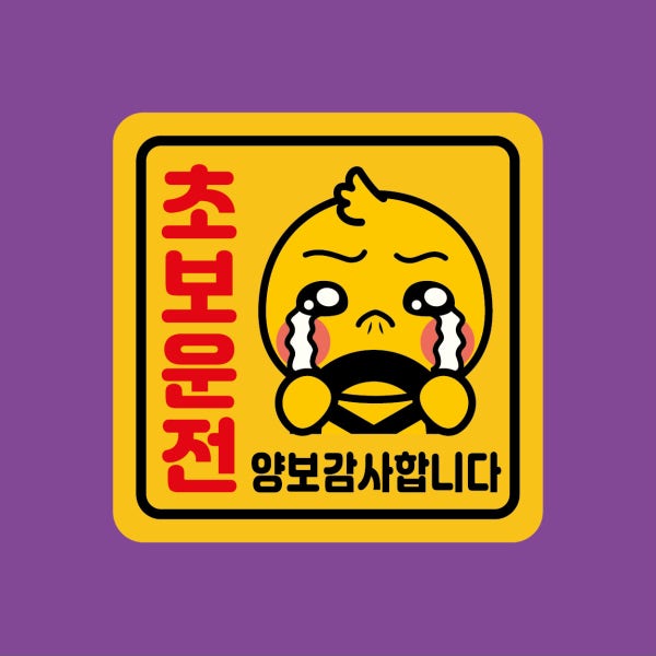 초보운전 스티커 자석 자동차 반사 정사각형 노랑 탈부착 A06 병아리