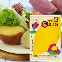 아침 찐고구마 3kg / 실온보관 개별포장된 바로먹는 혼달 삶은고구마