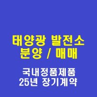 창원태양광 발전소 매매