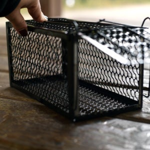 페스트세븐 쥐덫(그물망형) 두더지 덫 퇴치 약 쥐덧 쥐덪 쥐틀 쥐잡이 쥐약 쥐퇴치 트랩 쥐박멸 끈끈이 포획 퇴치기