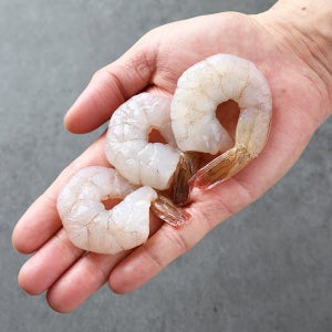 새우살 생 칵테일 새우 감바스새우 새우요리 대/특대 900g