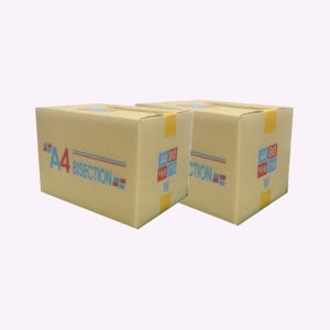 이등분지 A4 복사용지 A4용지 80g 1750매 2박스