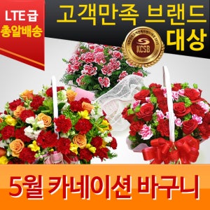 카네이션 어버이날선물 스승의날축하 꽃다발 꽃바구니 전국꽃배달